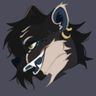 Silhou's OCs