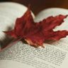 Canadian History Feed