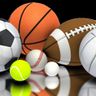 MLB, NFL, NBA, NHL, WNBA