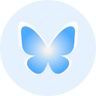 bskyinfo User Feedback