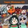 Team Minnows GO