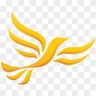 🔸️LibDemSky🔸️ 