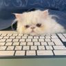 My Posts about Reading