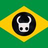 Hollow Knight Brasil