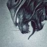 Species: Darakay