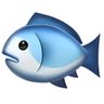 Fishes! 🐟