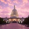 Voices of Congress