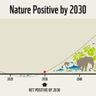 Nature Positive