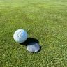 GolfSky Feed