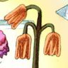 Joys