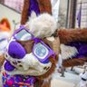 🌮 Jordan Fursuit 🌮