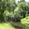 Merri Creek & Birrarung