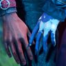 Game photography