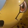 Inflatables & Pool Toys