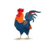 Fat Cock Friday #NSFW