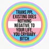 Trans Porn After Dark