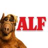 What's Alf