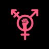 The Trans Agenda