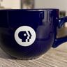 PBS Viewers Like Us