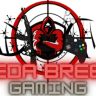 Seda Brees Gaming