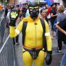 #Humanpup