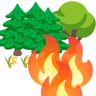 Wildfire