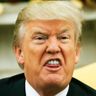 When Trump Was President